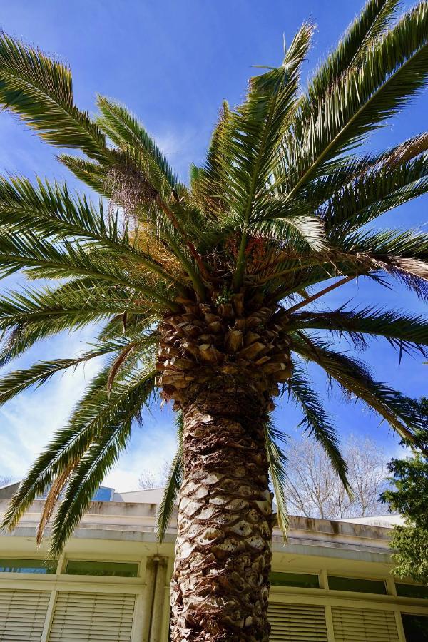 Beach, Wine, Dining, Sports, Summer, Winter Apartment Sérignan Exterior photo